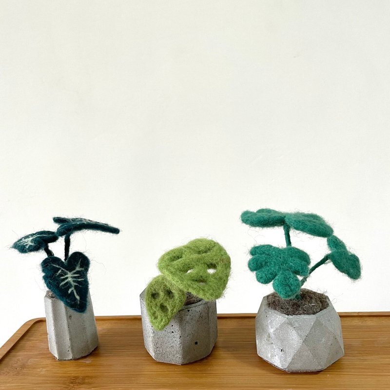 |羊毛毡材料包| 植物盆栽 三款 | 附教学影片 002 - 编织/刺绣/羊毛毡/裁缝 - 羊毛 绿色