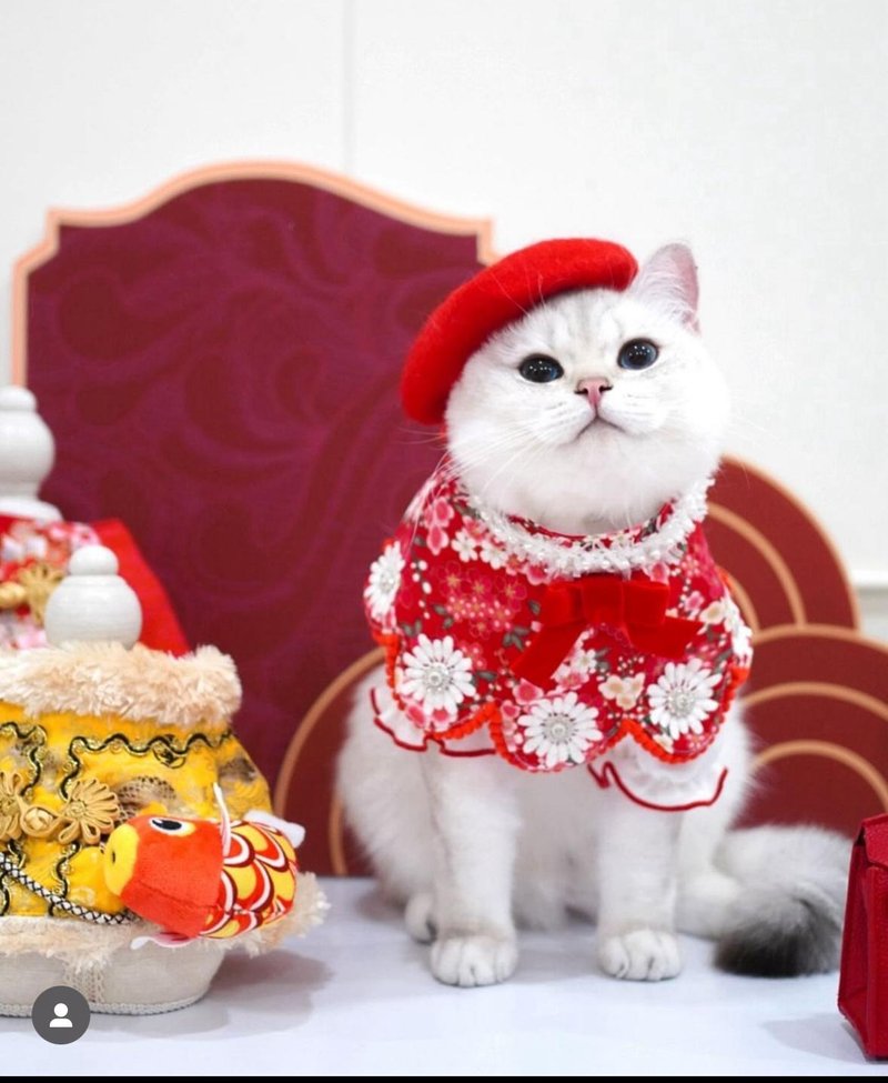 IPET丝绒蝴蝶结新年围巾 - 衣/帽 - 其他人造纤维 红色