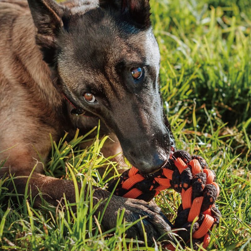 露营野趣 宠物玩具 狗狗 新星绳索圆环 - 玩具 - 棉．麻 
