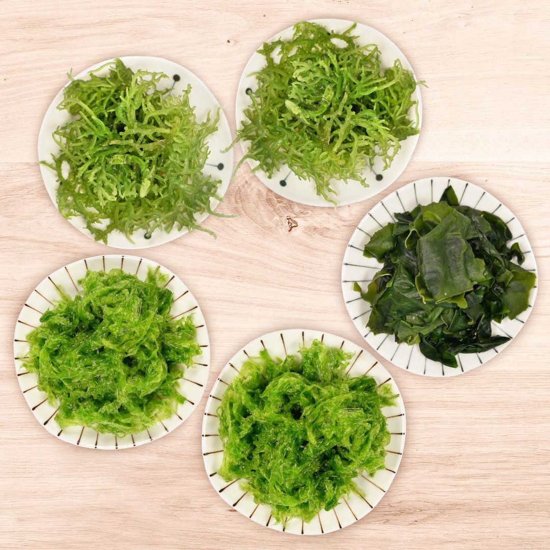 澎食海菜珊瑚草独家组合 (海带芽*2、珊瑚草*1、海菜*2) - 其他 - 其他材质 