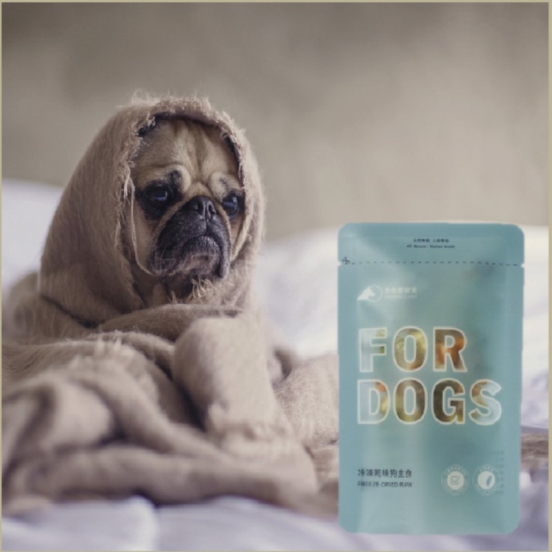 冻干狗主食15g随行包-六种口味 - 零食/点心 - 新鲜食材 