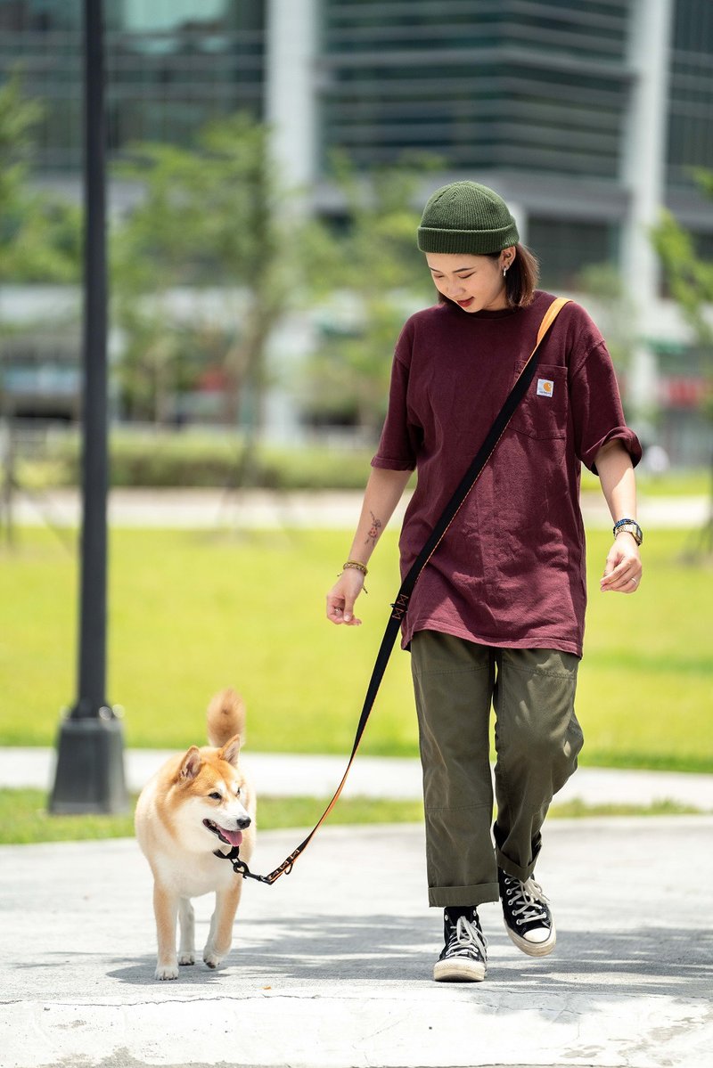 双色双层多用拉绳 M-L - 项圈/牵绳 - 尼龙 多色