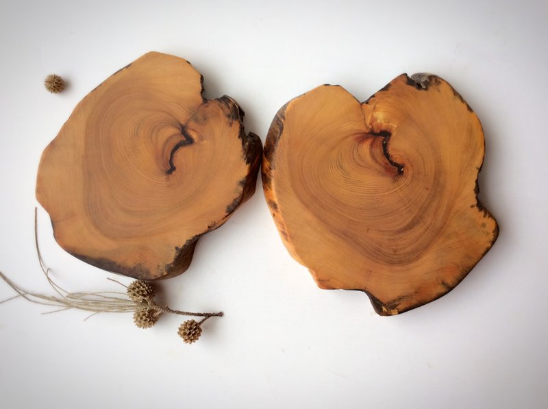 美好~柠檬果香桧木杯垫组 - 摆饰 - 木头 多色