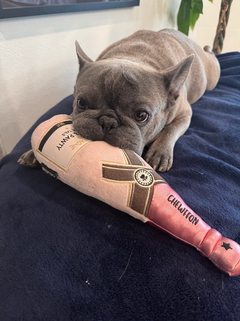 【狗玩具】 CHEWFFON 玫瑰香槟 - 玩具 - 其他材质 