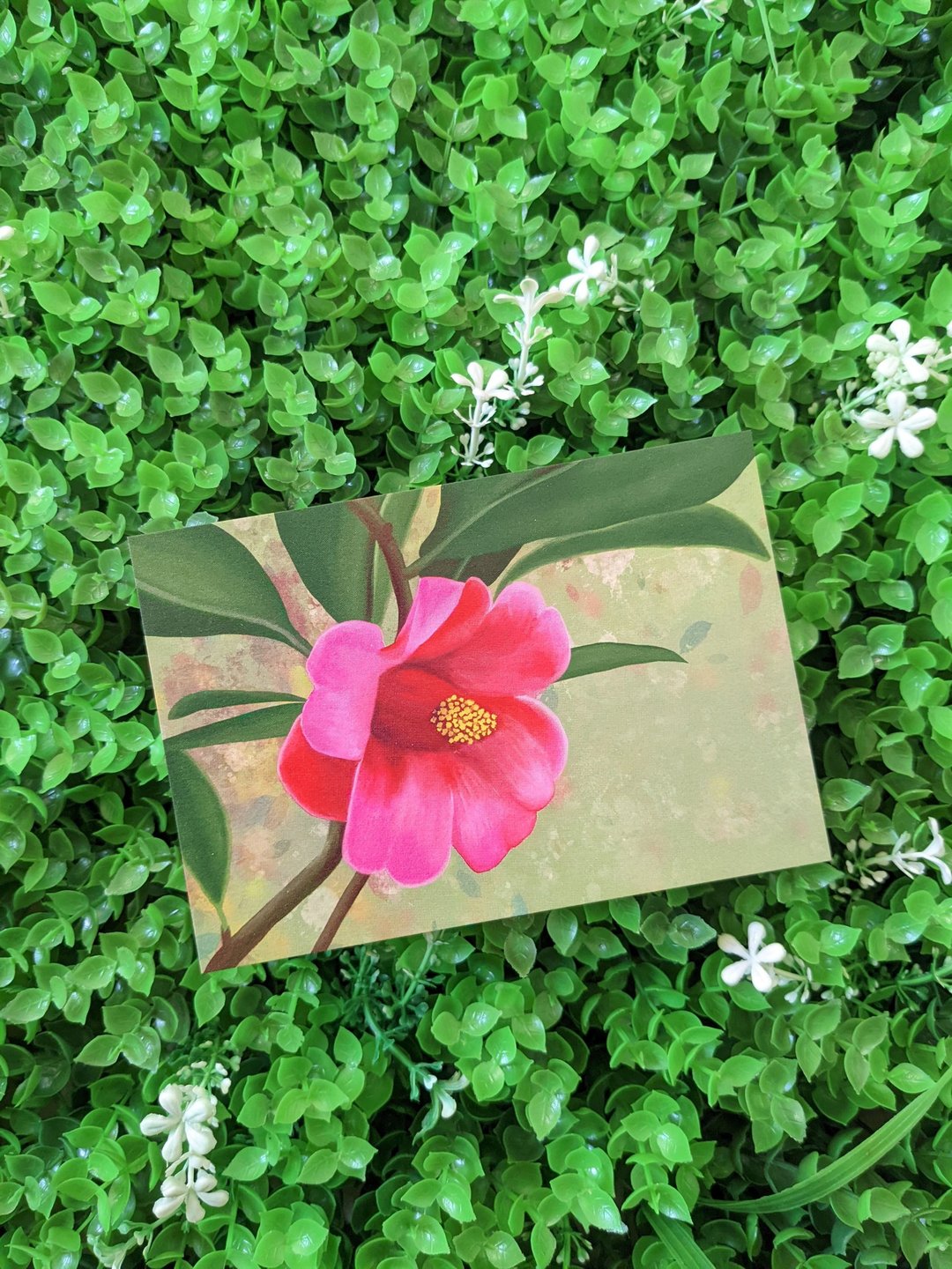 明信片 – 花卉系列 – 香港茶 - 卡片/明信片 - 纸 多色