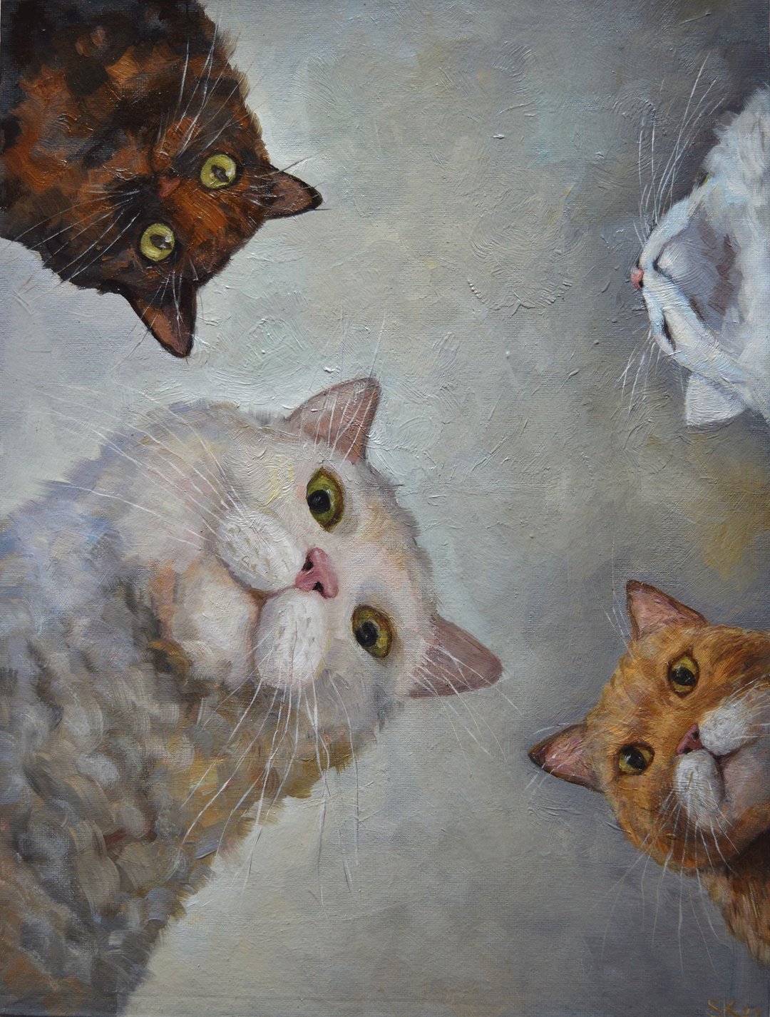 猫 米姆 有趣的动物 绘画作品 - 海报/装饰画/版画 - 其他材质 灰色