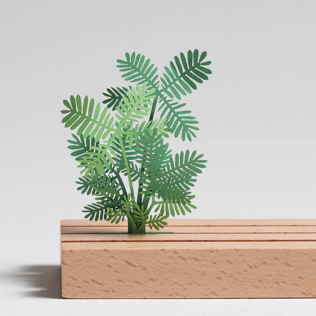 【立体植物贴纸】含羞草 (605035) FingerART纸雕纸艺术 - 贴纸 - 纸 绿色