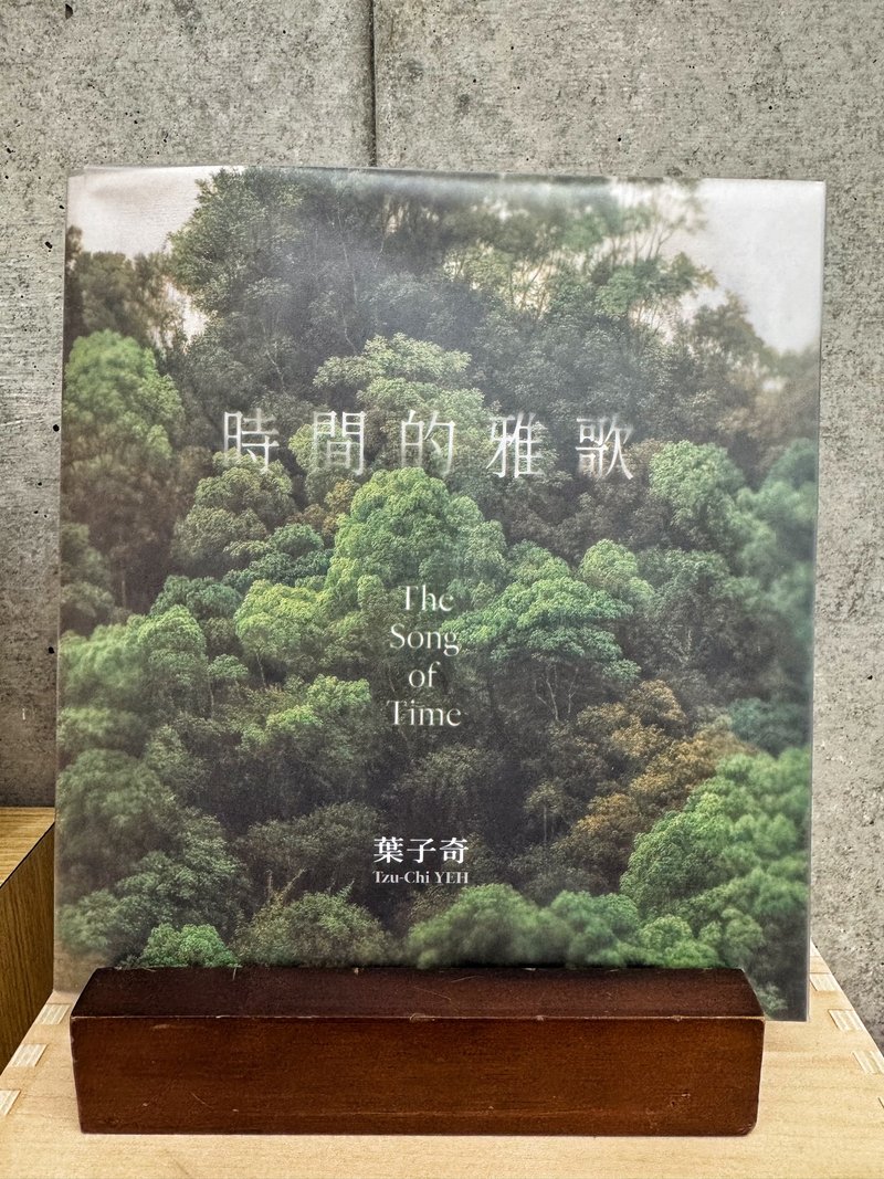 时间的雅歌 叶子奇 个展画册 - 刊物/书籍 - 纸 绿色