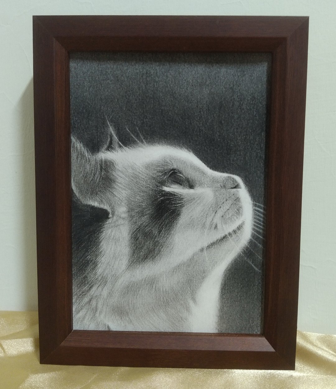 炭精笔素描 / 宠物画 / 含框 - 订制画像 - 纸 