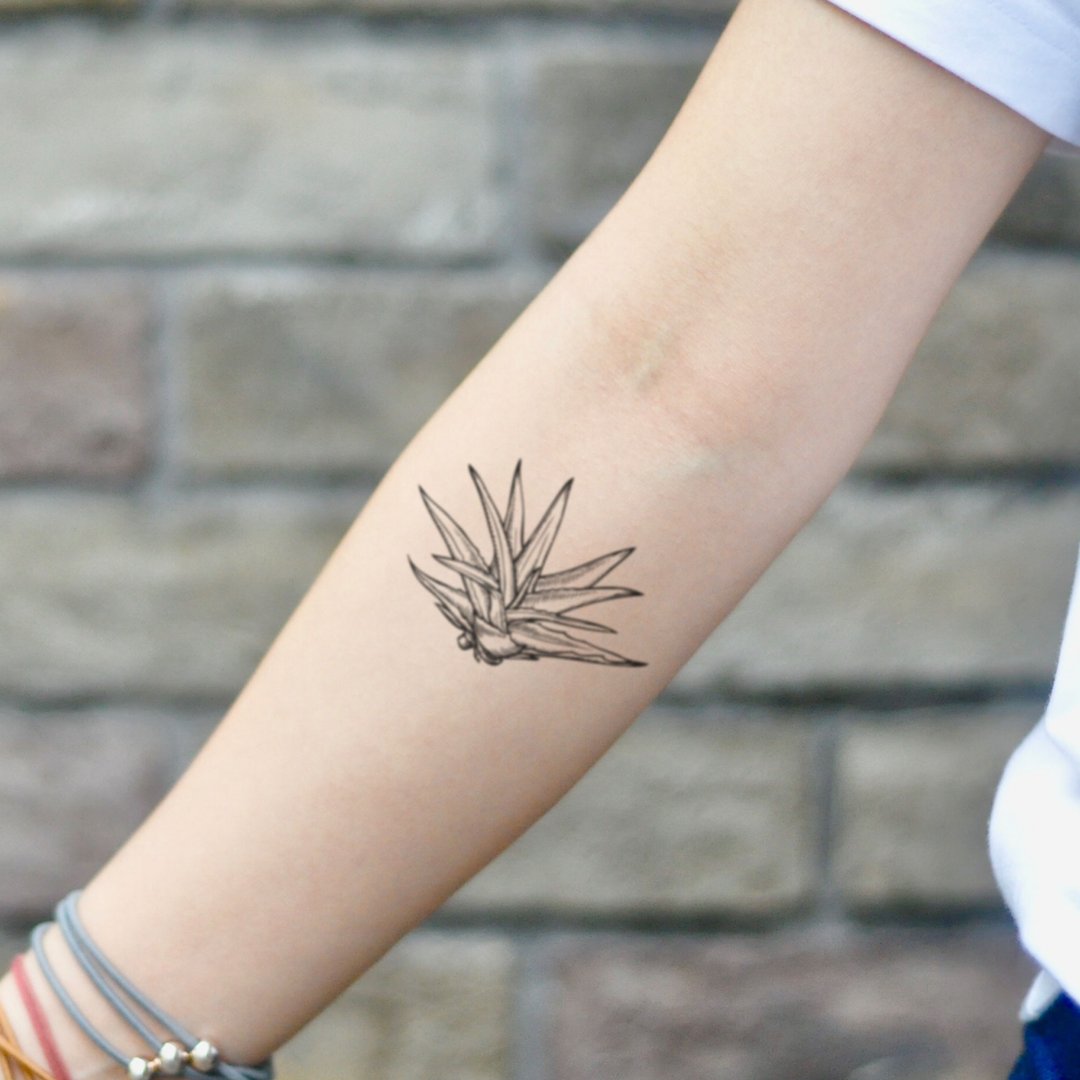 OhMyTat 龙舌兰芦荟 Agave Aloe Vera 刺青图案纹身贴纸 (2 张) - 纹身贴 - 纸 黑色