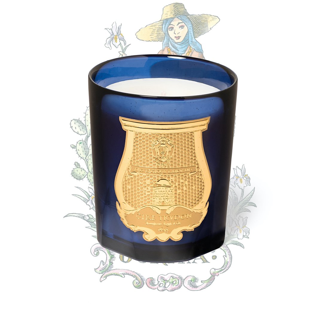Cire Trudon 鸢尾花香氛蜡烛 - 蜡烛/烛台 - 玻璃 蓝色
