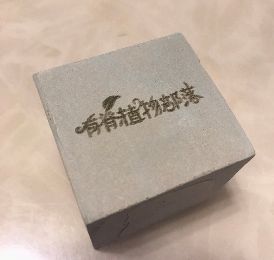 Jason HUANG 客订SOTI - 植栽/盆栽 - 水泥 