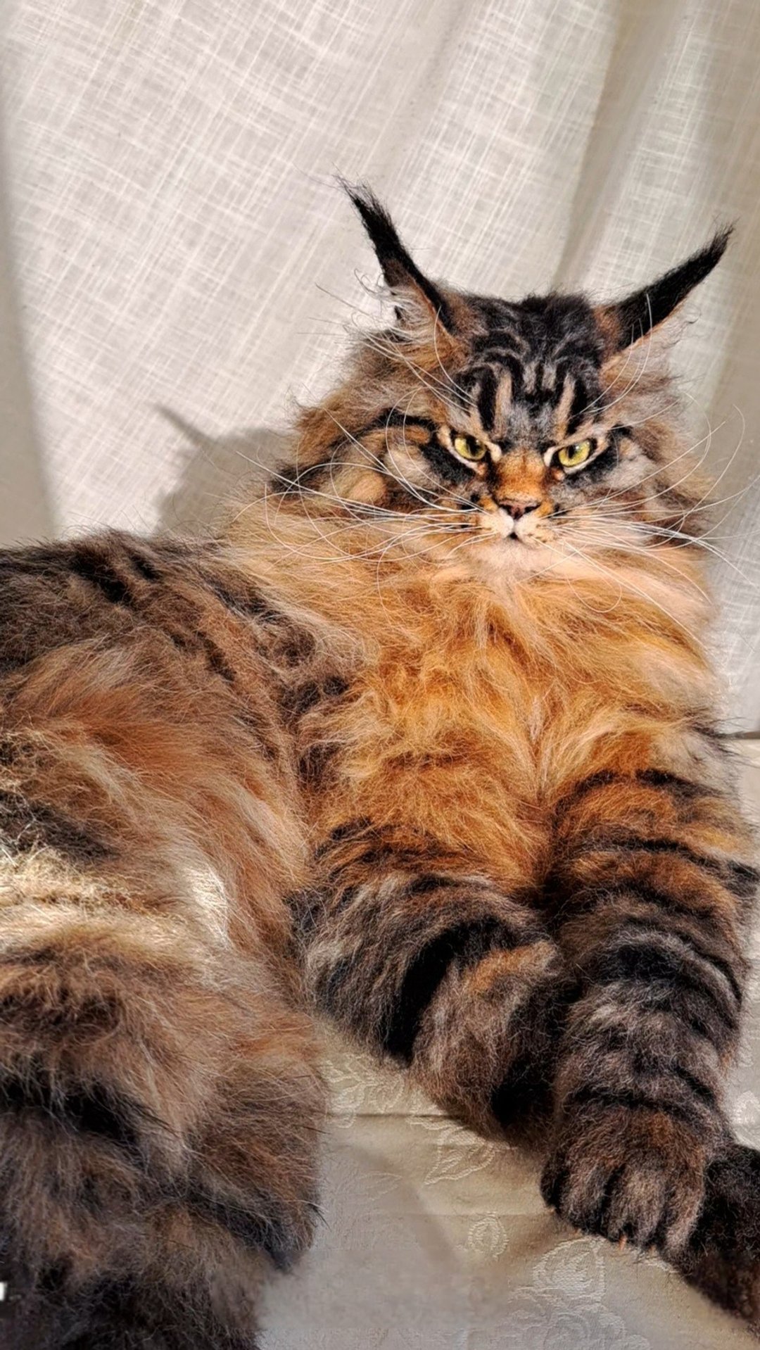 毛毡逼真的猫羊毛雕塑 - 玩偶/公仔 - 羊毛 咖啡色