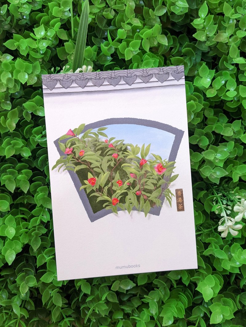 明信片 – 花卉系列 – 香港茶 - 卡片/明信片 - 纸 多色