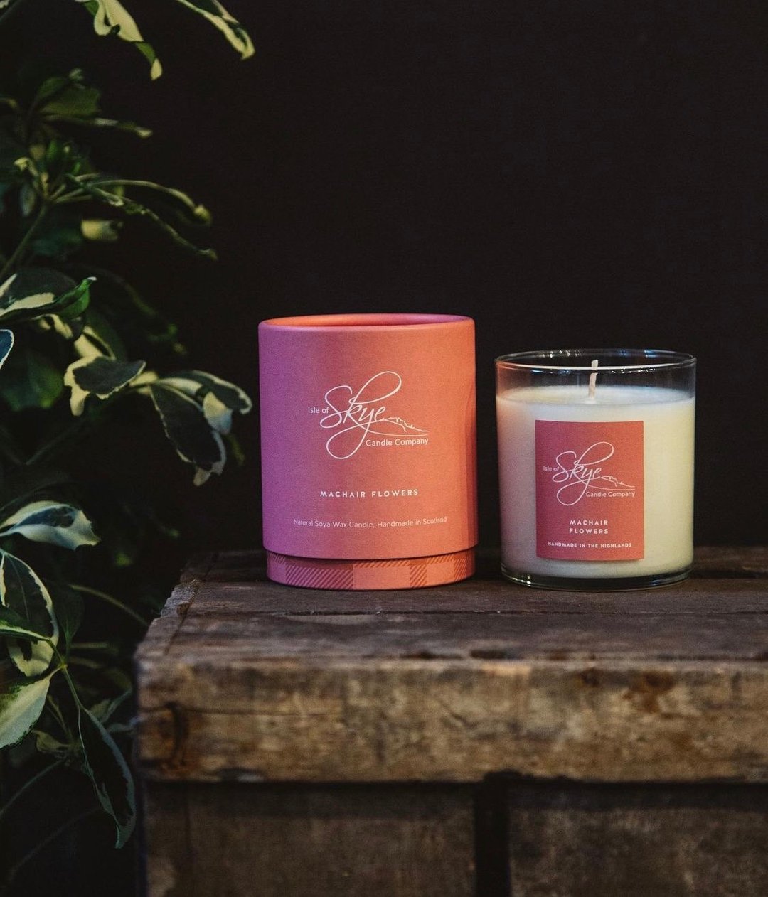 Skye candles 苏格兰海岸花 (苏格兰花香调)_蜡烛(小) - 蜡烛/烛台 - 其他材质 紫色
