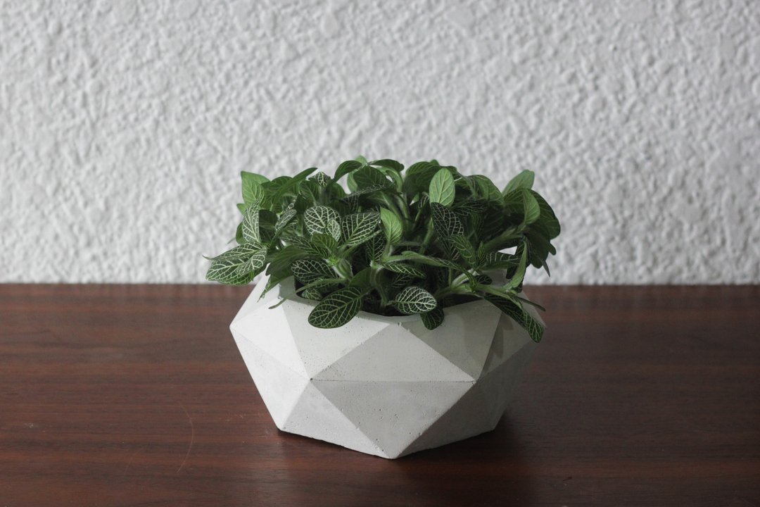 大钻石 | 水泥几何盆器 花器 - 植栽/盆栽 - 水泥 灰色