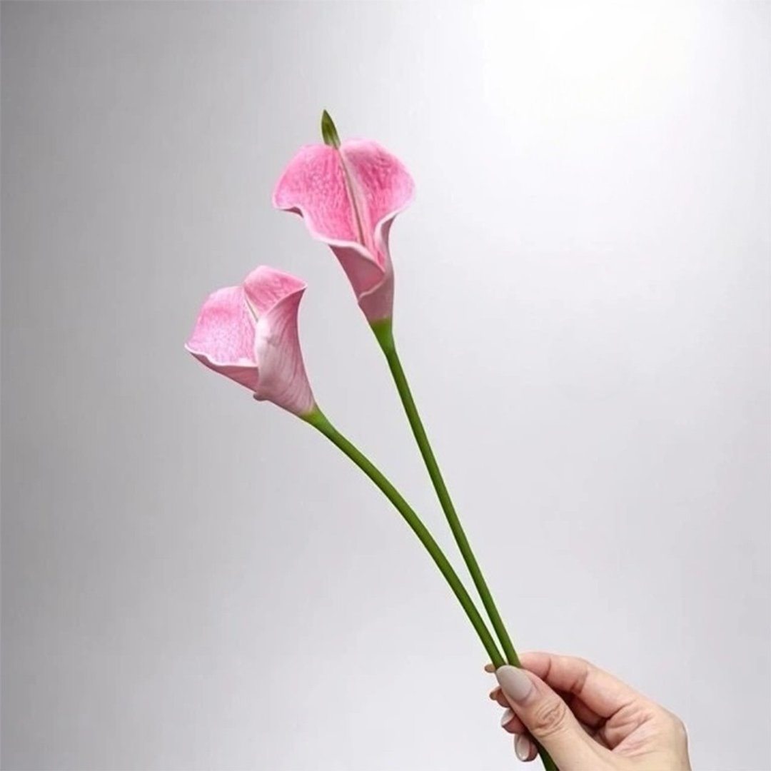 气质仙女粉色海芋仿真花花材(5入组) - 摆饰 - 塑料 黄色