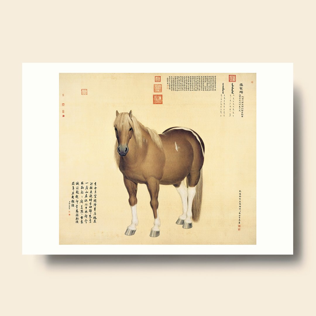 【B4 艺术画卡・B4 Poster】郎世宁 雪点雕 - 海报/装饰画/版画 - 纸 卡其色
