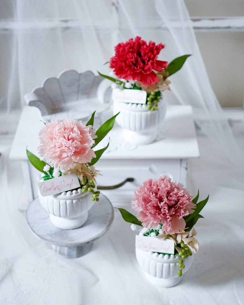 母亲节花礼/单朵康乃馨小桌花 - 摆饰 - 植物．花 