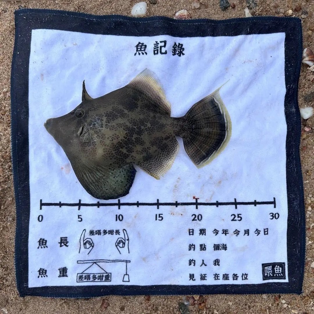 Hellofishy/鱼记录/方巾 - 毛巾浴巾 - 棉．麻 黑色