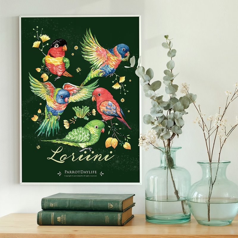 海报 / 吸蜜鹦鹉图鉴系列海报 - 海报/装饰画/版画 - 纸 