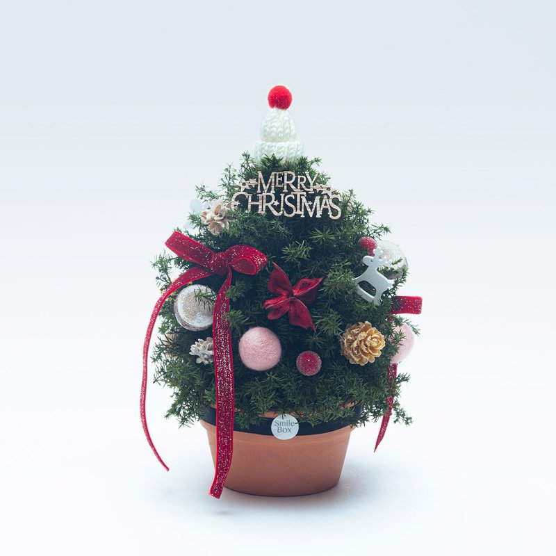 雪松小屋 永生雪松 圣诞限量 交换礼物 圣诞节 圣诞布置 - 摆饰 - 植物．花 