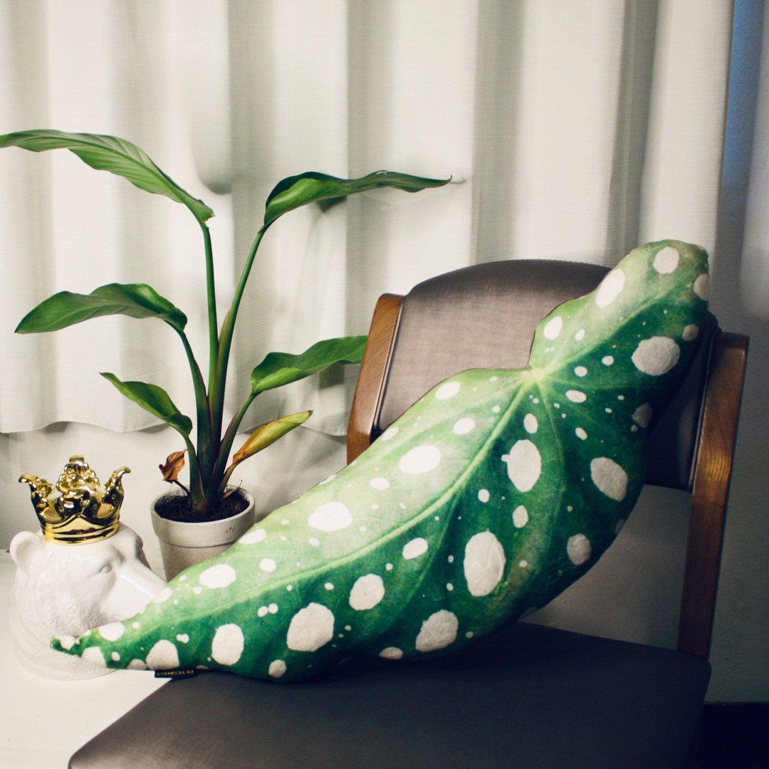 BOTANIST 双绒面舒适超弹抱枕  星点海棠 - 枕头/抱枕 - 其他材质 绿色