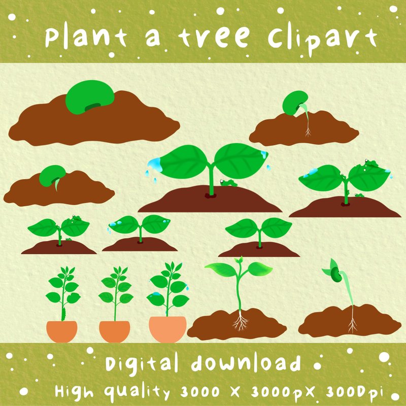 植物生长过程剪贴画集。幼苗生长剪贴画数位下载 - 电子手绘真人画像/绘画/插画 - 其他材质 