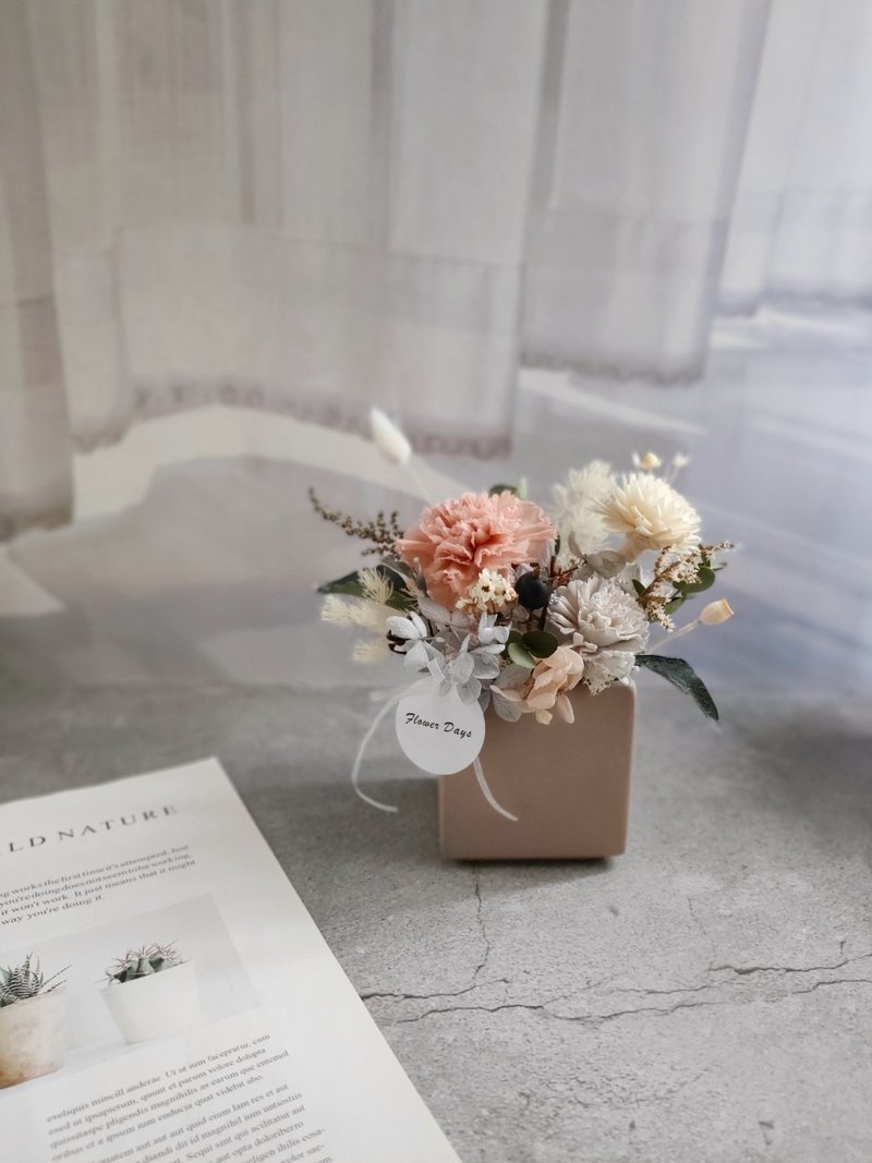 莫兰迪康乃馨-方形桌花 永生花礼 - 干燥花/捧花 - 植物．花 粉红色