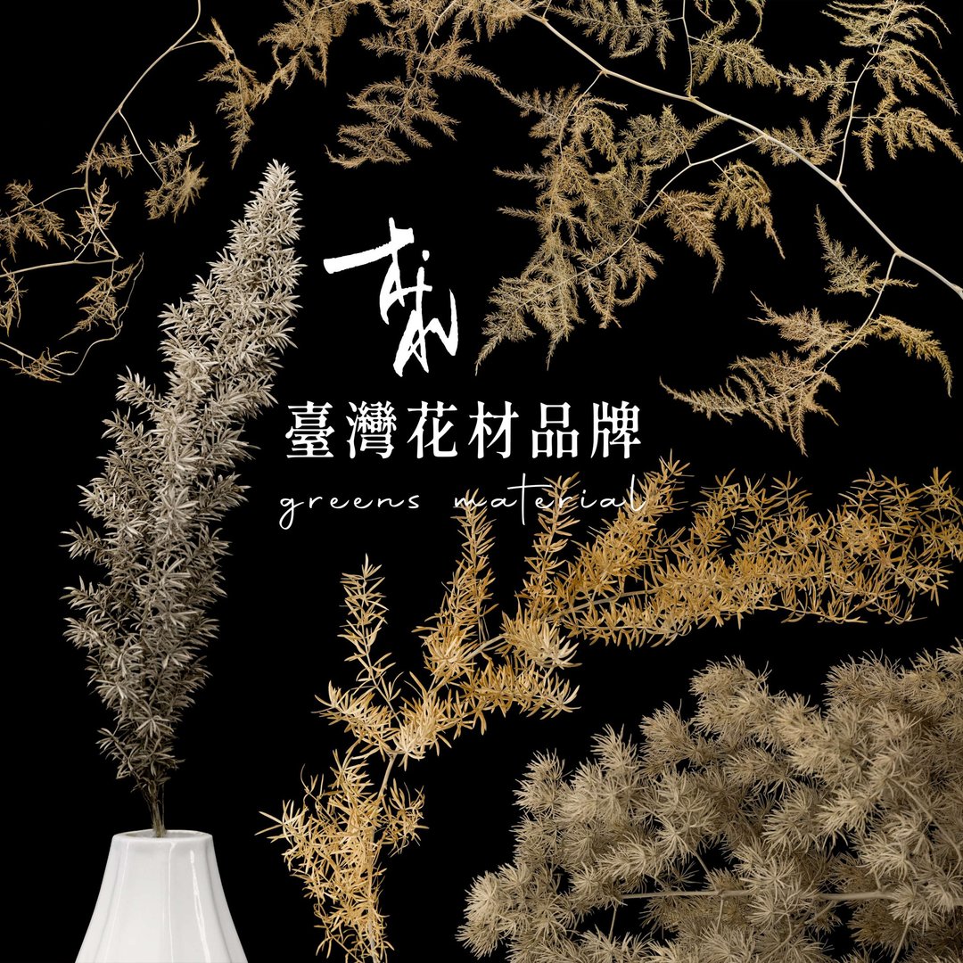 文竹 新娘草 延色草系列 Y08香草黄 植色木木 干燥 永生 人造 - 干燥花/捧花 - 植物．花 黄色