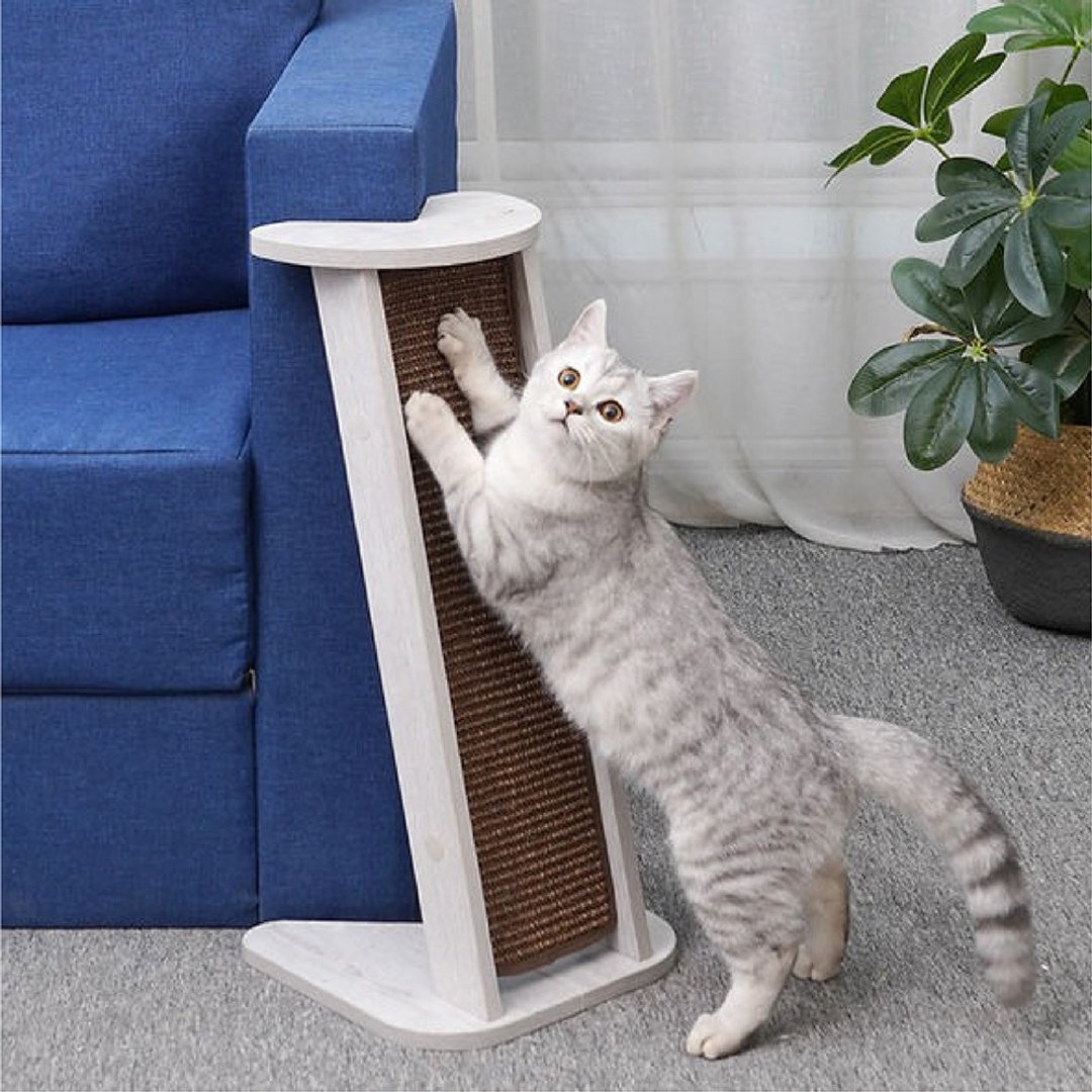 【美国Petpals】直立式质感猫抓板 - 抓板/跳台 - 棉 