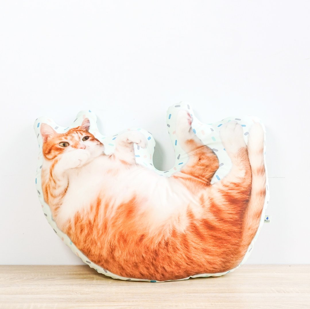 40cm 手工订制 有边 宠物 抱枕 /定制化 - 枕头/抱枕 - 其他材质 多色
