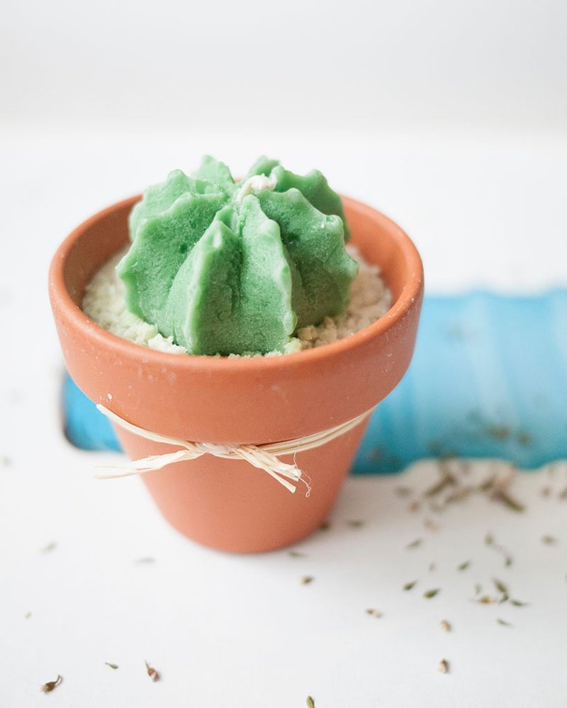 青柠味盆栽豆蜡烛 天然大豆 x 纯精油 x 无烟害 (小号 B - 兜丸) - 植栽/盆栽 - 蜡 绿色