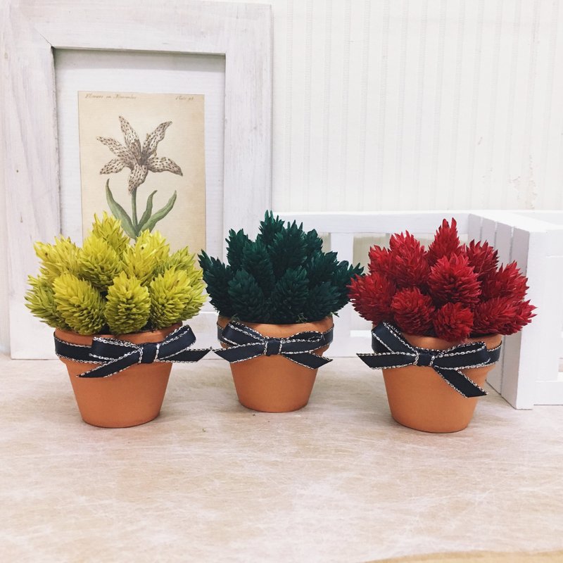 迷你圣诞红- 质感桌花 - 干燥花/捧花 - 植物．花 