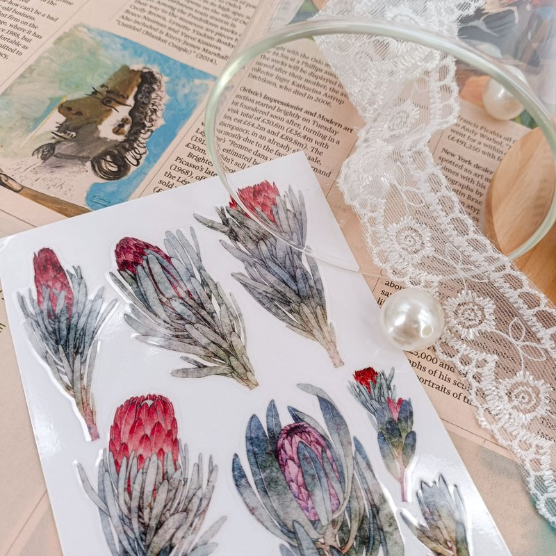 帝王花2 / 轉印貼纸 - 贴纸 - 其他材质 多色