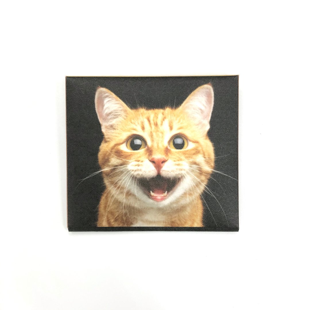 定制化礼物 MASKfolio S 口罩套 Cat - 口罩 - 纸 