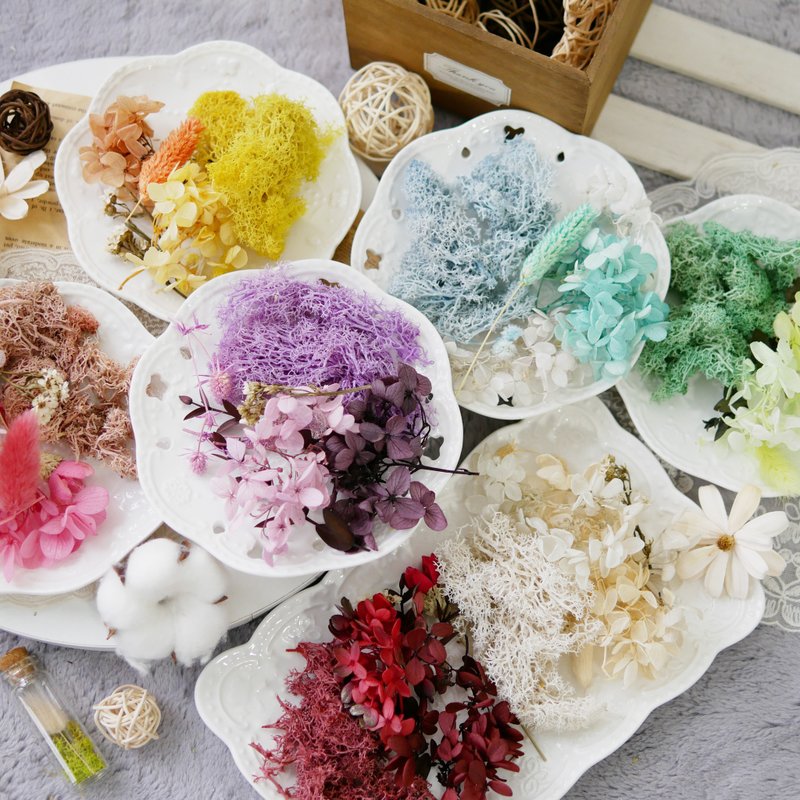 DIY 干燥花 绣苔材料包 极度花燥 永生花 花礼 - 植栽 - 植物．花 多色