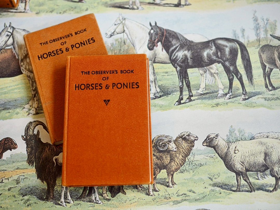 马年限定收藏 - 英国 Horses & Ponies 口袋图鉴 - 刊物/书籍 - 纸 