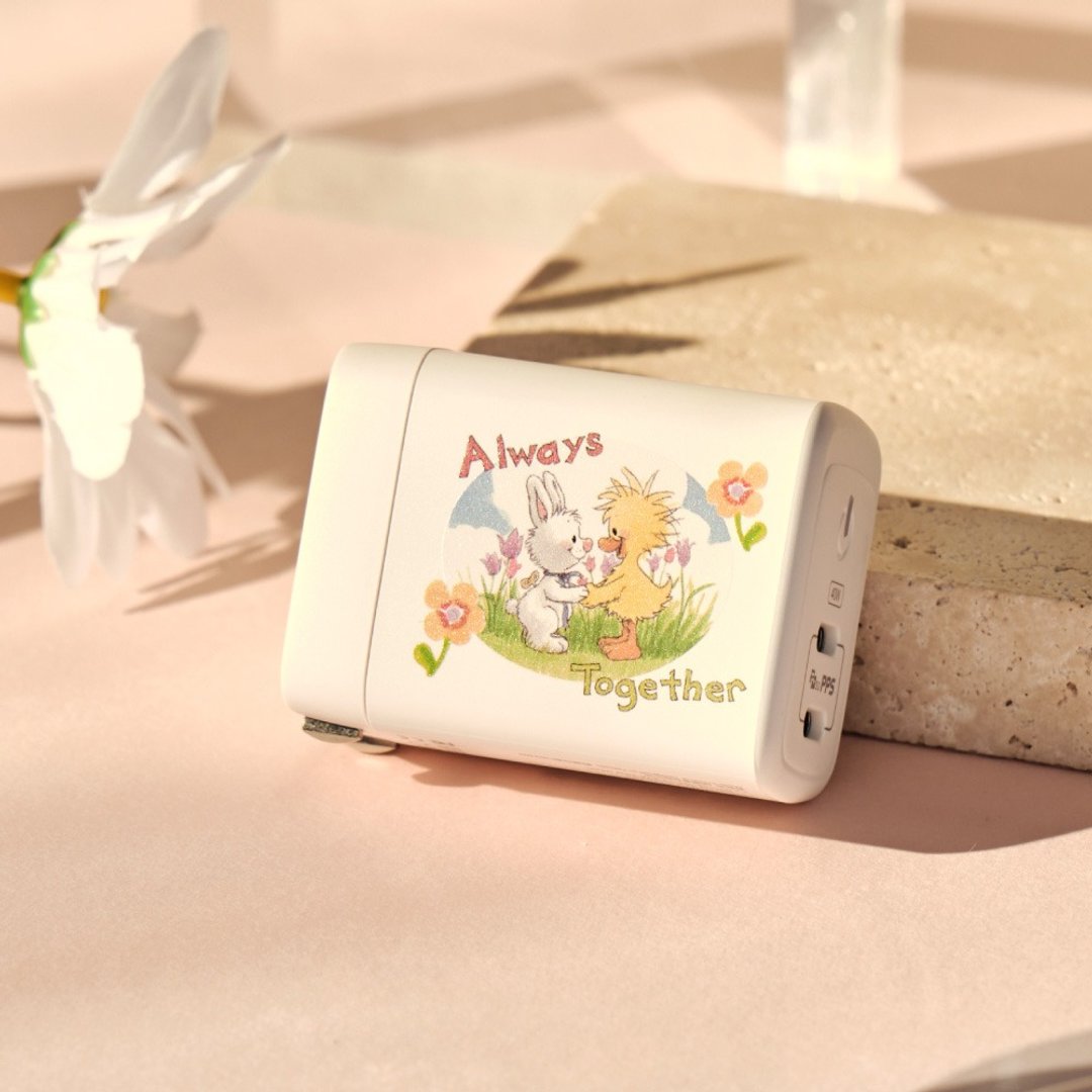 Suzy's Zoo Witzy与Lulla心手相连GaN 40W Type-C双孔充电头 - 手机配件 - 塑料 透明