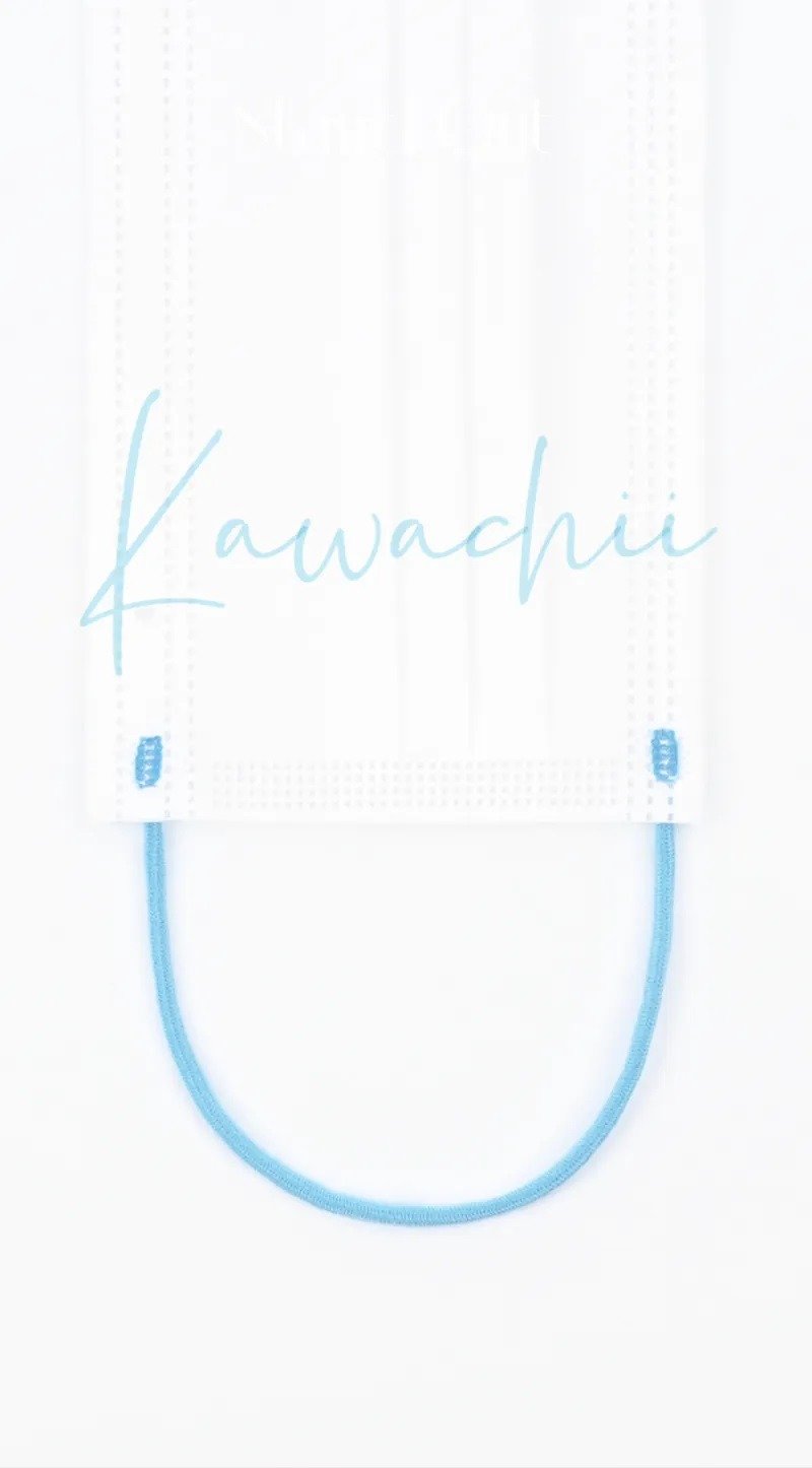 LEVEL 3 成人医用口罩– 卡哇痴 (50片) - 口罩 - 其他材质 蓝色