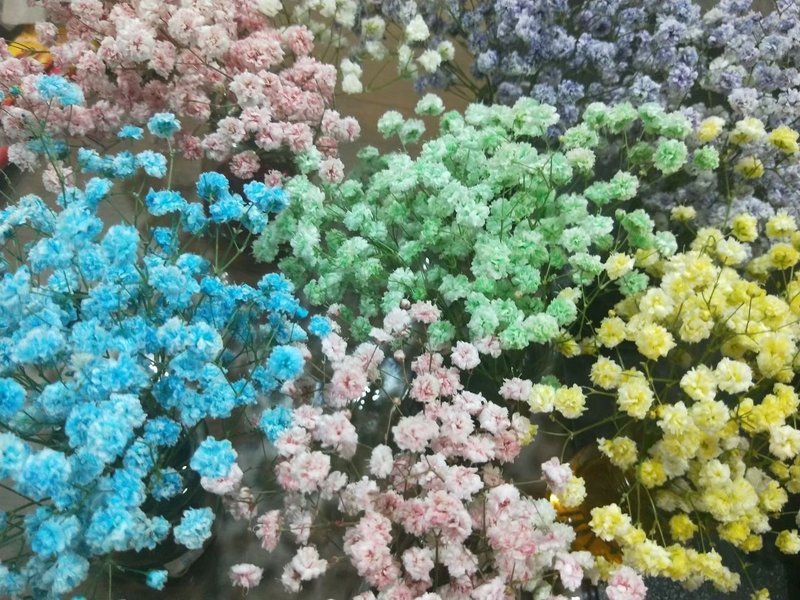 鲜花冻龄的制作体验 【送一堂永生花设计课】 - 植栽 - 植物．花 
