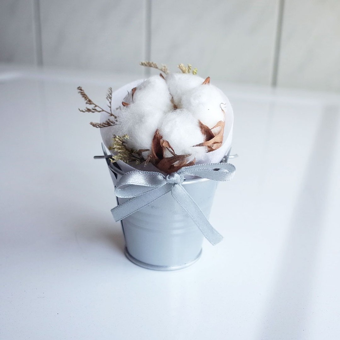 【Q-cute】干燥花小盆花系列-软绵绵棉花 - 植栽/盆栽 - 植物．花 白色