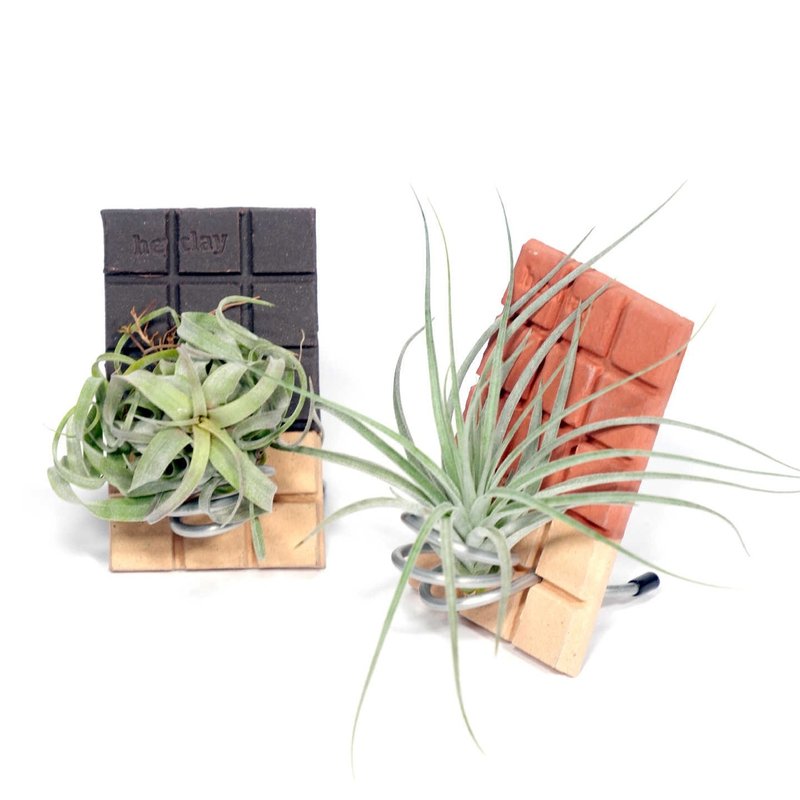 巧克力空气凤梨小板|手工原创空气凤梨桌面摆件空凤支架 - 植栽/盆栽 - 陶 