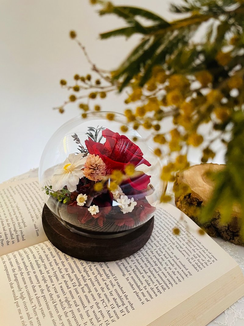 尘封记忆 Memory of love - 永生花盅/母亲节花礼/情人节花礼 - 干燥花/捧花 - 植物．花 红色