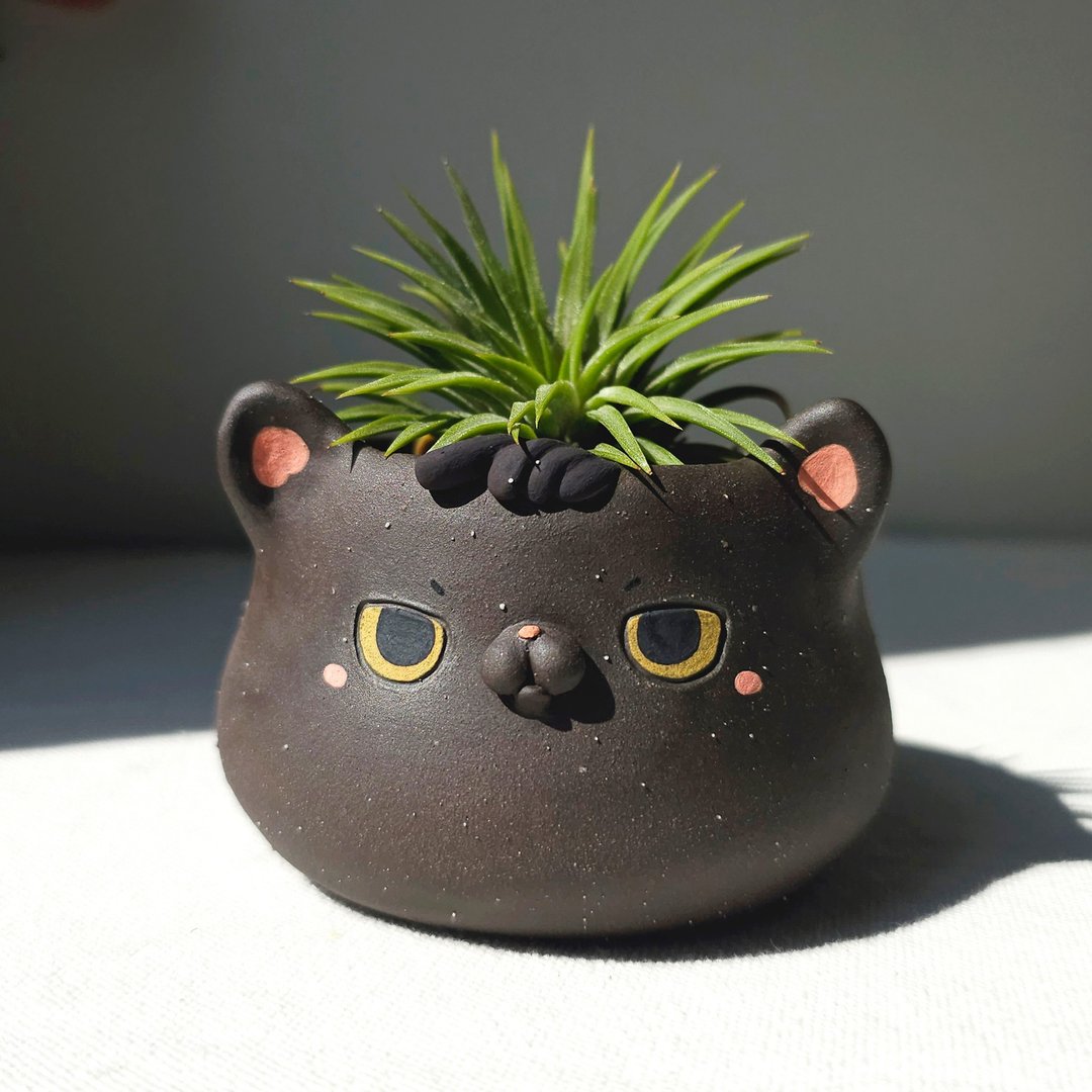 Black cat plant pot. Handmade planter with drainage hole. - 植栽/盆栽 - 陶 