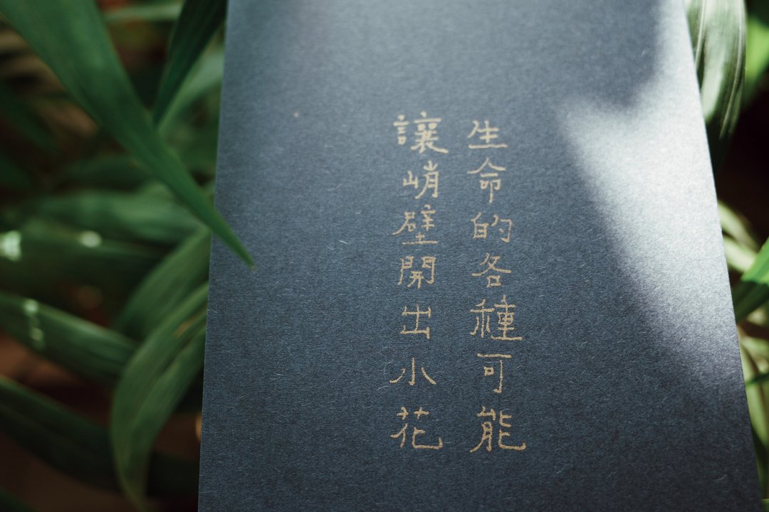生命的各种可能 文字明信片 - 卡片/明信片 - 纸 