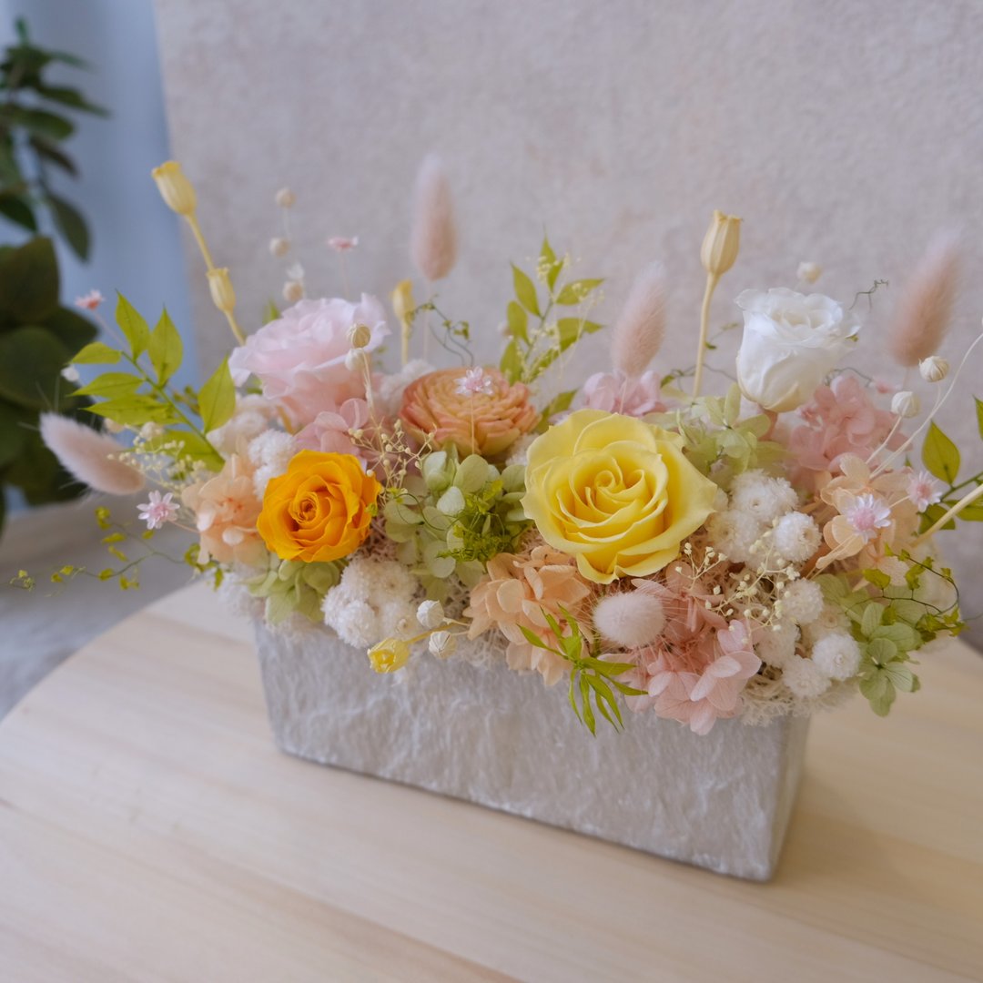 【永生花盆花】永生花/开幕盆栽/粉色/黄色/绿色/贺升迁 花礼 - 植栽/盆栽 - 植物．花 绿色