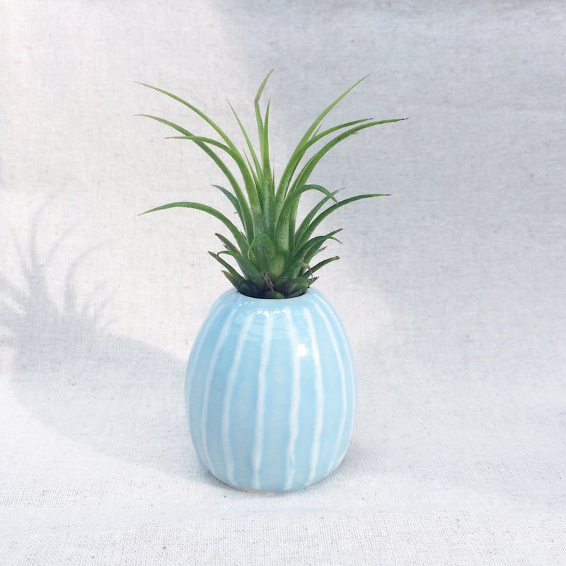日系小花瓶 | 空气凤梨盆栽组 | 一轮插 - 植栽/盆栽 - 陶 蓝色