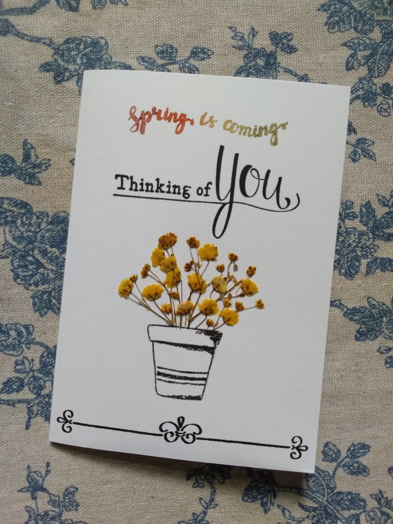 押花卡片, 花草传情万用卡 - 卡片/明信片 - 纸 多色