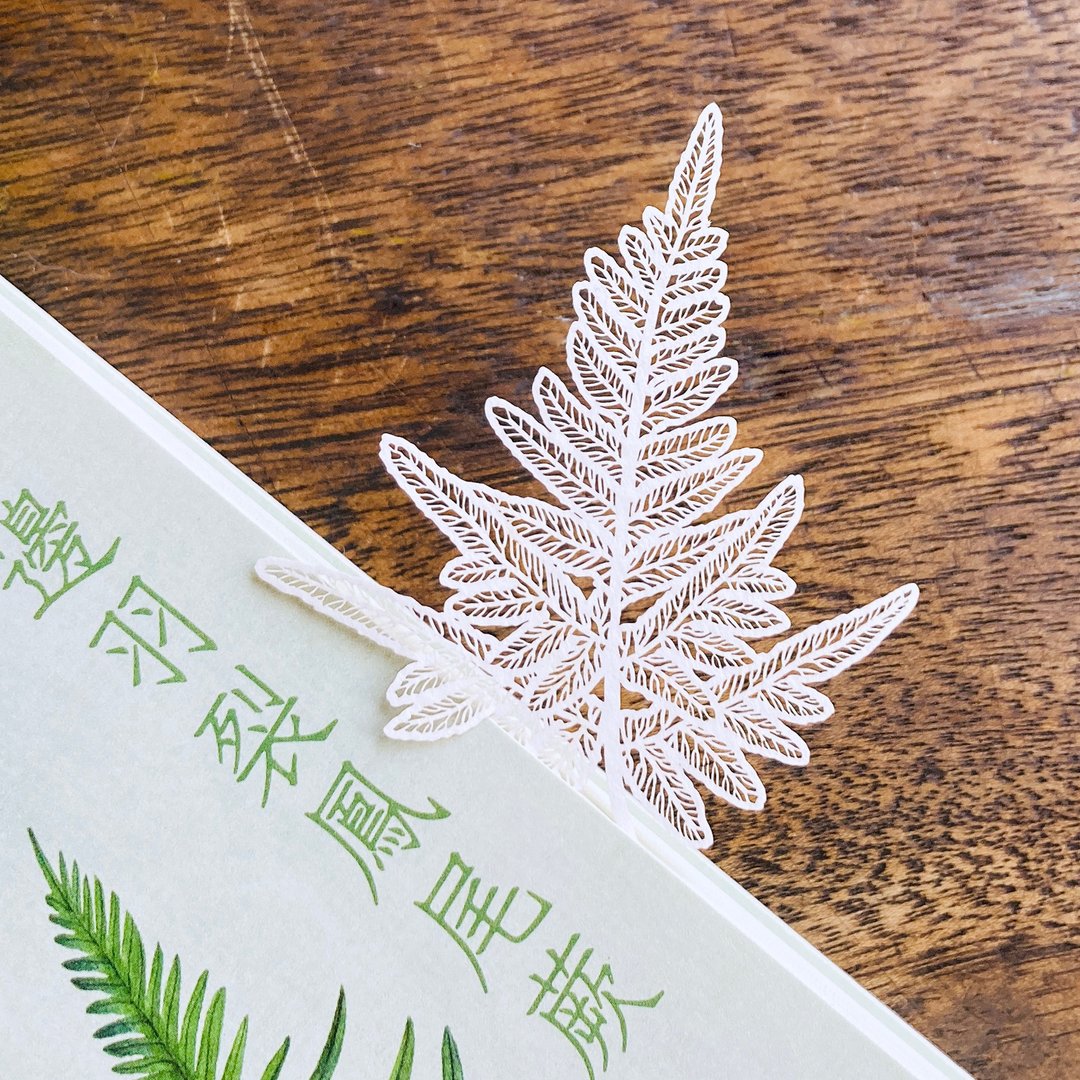 蕨类标本纸雕2.0-半边羽裂凤尾蕨| 纸雕 书签 植物 母亲节 文具 - 书签 - 纸 白色